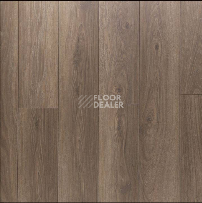 Ламинат Clix Floor Plus CXP087 Дуб Кофейный фото 1 | FLOORDEALER